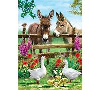 Reofrey DIY Ane Diamond Painting Accessoires, Animaux 5D Broderie Diamant Kit Complet Point De Croix Strass Diamant Painting, Peinture Diamant Craft Home Artisanat Murale Décor 30x40cm