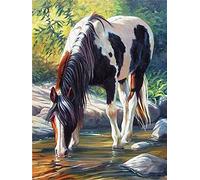 Reofrey DIY Chevaux Diamond Painting Accessoires, 5D Broderie Diamant Kit Complet Point De Croix Strass Diamant Painting, Peinture Diamant Craft Home Artisanat Murale Décor 30x40cm