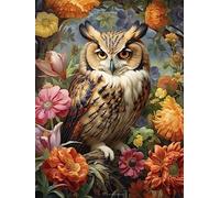Reofrey DIY Chouette Diamond Painting Accessoires, Animaux 5D Broderie Diamant Kit Complet Point De Croix Strass Diamant Painting, Peinture Diamant Craft Home Artisanat Murale Décor 30x40cm C51