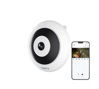 Reolink Caméra de Surveillance 3K 6MP WiFi Intérieure,Caméra Fisheye,Panorama 360°,Détection Personnes,Blanc