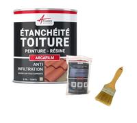 Réparation et étanchéité tuile, gouttière, cheneau, trou, fissure, souche, cheminée, ardoise : Arcafilm pack - 0.75 L (jusqu'à 0.5 m²) Paille - ARCANE INDUSTRIES