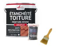 Réparation et étanchéité tuile, gouttière, cheneau, trou, fissure, souche, cheminée, ardoise : Arcafilm pack - 2.5 L (jusqu'à 1.5 m²) Gris - ARCANE INDUSTRIES