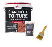 Réparation et étanchéité tuile, gouttière, cheneau, trou, fissure, souche, cheminée, ardoise : Arcafilm pack - 2.5 L (jusqu'à 1.5 m²) Blanc - ARCANE INDUSTRIES