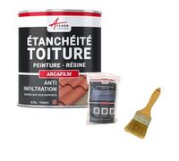Réparation et étanchéité tuile, gouttière, cheneau, trou, fissure, souche, cheminée, ardoise : Arcafilm pack - 0.75 L (jusqu'à 0.5 m²) Tuile - ARCANE INDUSTRIES