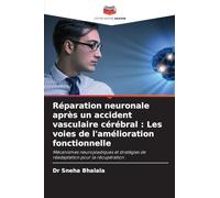 Réparation neuronale après un accident vasculaire cérébral : Les voies de l'amélioration fonctionnelle: Mécanismes neuroplastiques et stratégies de réadaptation pour la récupération