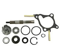 Réparation Pompe à eau - Fore Sight FES 250 MF04 (1997-1999)