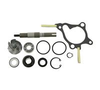 Réparation Pompe à eau pour , , Peut 250 ccm