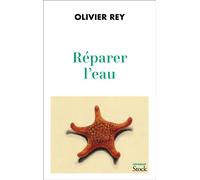 Réparer l'eau - Olivier Rey - Stock - broché - Essai