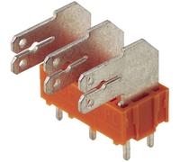 Répartiteur à languette mâle 6.3 x 0.8 mm Weidmüller PCF 7.50/04/90 3.5SN OR BX 9511610000 90 ° partiellement isolé orange