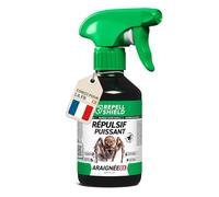 RepellShield® Spray Anti Araignées Maison & Jardin -250ml- Non Tachant - Menthe Poivrée Concentrée - Usage Intérieur & Extérieur - Répulsif Araignée aux Huiles Essentielles