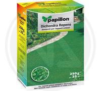 Repens PRATO Dichondra en gr SEMI. 250