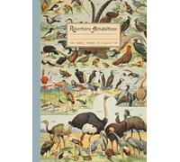 Répertoire Alphabétique: Grand format A4: 21x29,7 cm avec repères pour chaque lettre, 160 pages lignées. Jolie couverture Rétro & Vintage | thème de l'ornithologie, oiseaux du Monde sans prise de bec.