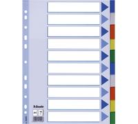 Répertoire plastique vierge A4 Esselte PP 10 pièces