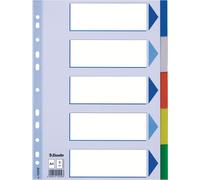 Répertoire plastique vierge A4 Esselte PP 5 pièces