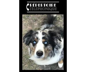 Répertoire téléphonique: alphabétique chien berger australien. Carnet d’adresses & téléphones à compléter au format A5 pour plus de 400 contacts