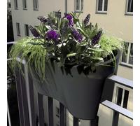 rephorm Jardinière pour Balustrade "Steckling Duo" - Graphite (anthracite)