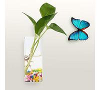 RepiceFinem suspendu en verre suspendu pour plantes hydroponiques décor de bureau à domicile élégant de qualité supérieure résistante à un mur de mur de la bouche ouverte (Long tube shape)