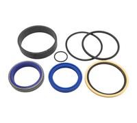 REPLACEMENTKITS.COM Kit de joint de cylindre hydraulique compatible avec les cylindres de seau ou de flèche CASE IH 2250, 2255, 2350, 2450 (remplace la pièce 93325C2)