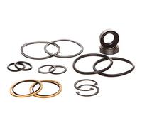 REPLACEMENTKITS.COM Lot de 2 joints de reconstruction de cylindre de direction CASE avec joint de piston remplace A36396 et A36395