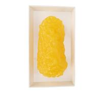 Réplique de Graisse Corporelle Humaine, Modèle de Démonstration de Tissu Gras Humain de 0,5 Kg pour le Cours de Nutritionniste Scien