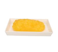 Réplique de la graisse du corps humain, Modèle anatomique de graisse humaine de 1 kg avec base d'affichage, Modèle de démonstration du tissu adipeux humain pour nutritionniste