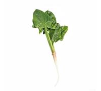 Réplique de légumes d'épinards en polyuréthane avec attention à la précision botanique pour le coiffage et le merchandising visuel (B)