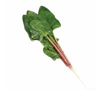 Réplique de légumes d'épinards en polyuréthane avec attention à la précision botanique pour le coiffage et le merchandising visuel (C)