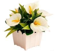 Réplique de lys calla en pot dans un récipient de clôture pour décoration de salon, chambre à coucher, décoration de salle de mariage et toile de fond de studio (blanc)