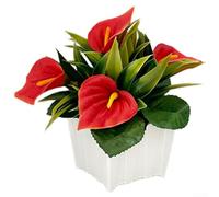 Réplique de lys calla en pot dans un récipient de clôture pour décoration de salon, chambre à coucher, décoration de salle de mariage et toile de fond de studio (rouge)