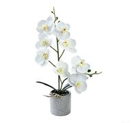 Réplique florale d'orchidée avec texture réaliste et variation de couleur montée en ciment pour applications de décoration intérieure et extérieure (blanc)