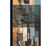 Reports On The Properties Of Pinguico Mines Company In Guanajuato, Mexico, Covering The Geological, Metallurgical, Mining And Milling Features Of Thes