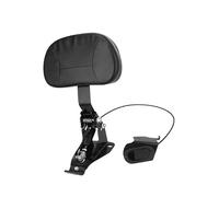 Repose-dos Passager Arrière Dossier De Moto Pièces De Rechange Robustes Pour Touring CVO Pour Street Pour Road Pour Spécial Classic 2009-2023