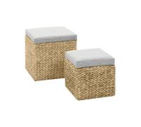 vidaXL Repose-pied Jacinthe d'eau – Lot de 2 avec coffre de rangement, Gris
