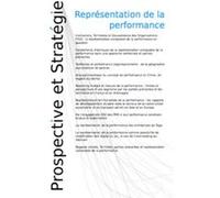 Représentation de la performance. Prospective et Stratégie Benoît Pigé (Auteur)