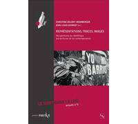 Représentations, traces, images Des peintures du néolithique aux écritures de soi contemporaines - Le sujet dans la Cité - Actuels n°5 - Christine Delory-Momberger - L'harmattan - broché - Revue