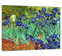 Reproduction artistique sur toile encadrée Motif iris de Van Gogh 60 x 50 cm Profondeur 38 mm