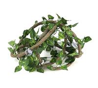 Reptile Branche Branche Flexible Jungle Flexible Habitat Habitat Décor Climber Jungle Longues Vignes 9.84ft Rotin 3 Vignes avec des Ventouses(#1)