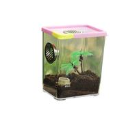 Reptile Breeding Box Clear Acrylic Reptile Terrarium Feeding Box for Spider Scorpion