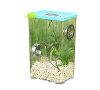 Reptile Breeding Box Clear Acrylic Reptile Terrarium Feeding Box for Spider Scorpion