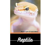 Reptile: Carnet de note | Gecko | Journal de bord | Reptile | Bloc note | Lézard | Journal intime | Terrarium