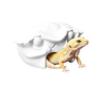 Reptile Cave Décor de Terrarium imperméable d'enrichissement en Forme de | Abri Serpent Décor pour Grenouille, Gecko à Crête, Crabe Ermite, Iguane, Caméléon, Crapaud en