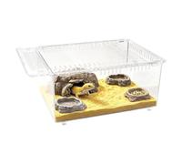 Reptile Enclosure Terrarium Transparent Acrylic Sliding Lid Snail Terrarium | Reptile Enclosure Feeding Box Lizard Tank For Frog Turtle Lizard Gecko Bearded Dragon Snake Snail Spider Chameleon S