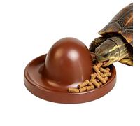 Reptile Feeding Dish, Anti-Trampling Spider Feeder - Spider Treat Container, Keepers Breeders Animal Lovers Terrarium Enclosure Cage Shelters Shops Home