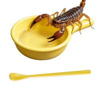 Reptile Food Bowl Spider Feeder - Container with Spoon Jumping Spider for | Jumping Spider Feeder for Keepers Breeders Pet Parents Hermit | Crab Lizard Tarantula Terrarium Enclosure Cage Shelters Home