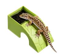 Reptile Food Dish, 2-in-1 Decorative Shelter & Turtle Food Water Bowl, Dual-Purpose Reptile Feeder, Habitat Accessories for Bearded Dragon Horned Frogs Spiders Geckos Shrimp Turtles Leopard