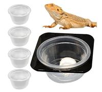 Reptile Food Dish - ABS Reptile Water Dish | Lizard Water Bowl | Crested Food Feeder Lizard Water Bowl | Detachable Space-Saving Tank Accessories with Cups Feeding Dish for Gecko