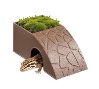 Reptile Food Dish - Decorative Shelter Bowl, Purpose Feeding and Water Container for Terrarium Setup, Habitat Ornament Dish, Easy Clean Pet Feeding Station for Bearded Dragon Geckos
