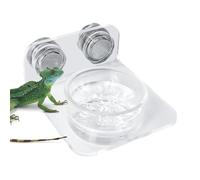 Reptile Food Feeder Bowl, Suction Cup Water Tray, Elevated Reptile Feeding Ledge, Durable Material, Perfect for Lizards, Chameleons, Tree Frogs, Acrylic, Magnet