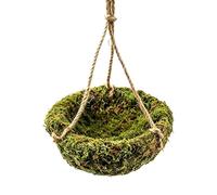 Reptile Hammock, Tank Mount Lounger, Hanging Habitat Net, Climbing Rest Perch, Basking Comfort Accessory for Chameleon Leopard Gecko Lizard Resting Playing Climbing Basking Lounging Terrarium Use