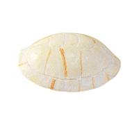 Reptile Hide Shelter, Small Lizard Climbing Habitat, 5.12x3.54in Gecko Bearded Dragon Hideaway, Authentic Natural Material, Provides Secure Retreat for Snakes, Turtles, and Frogs